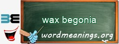 WordMeaning blackboard for wax begonia